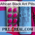 African Black Ant Pills 35